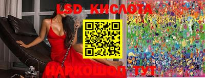 гидропоника Краснознаменск