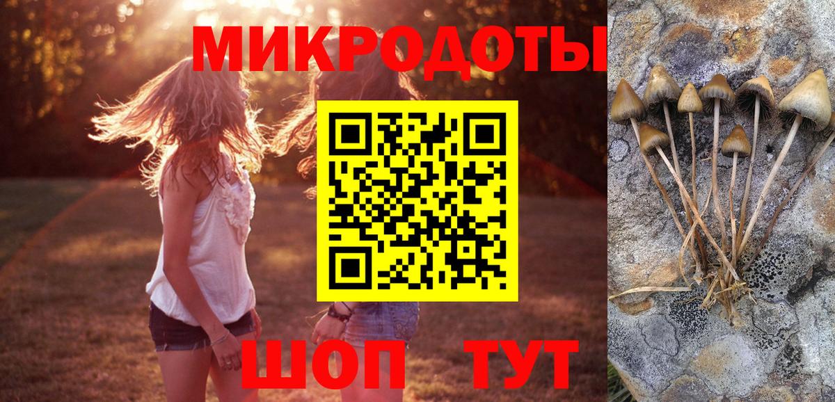 Псилоцибиновые грибы GOLDEN TEACHER  дарнет шоп  Карталы  Вход с VPN 